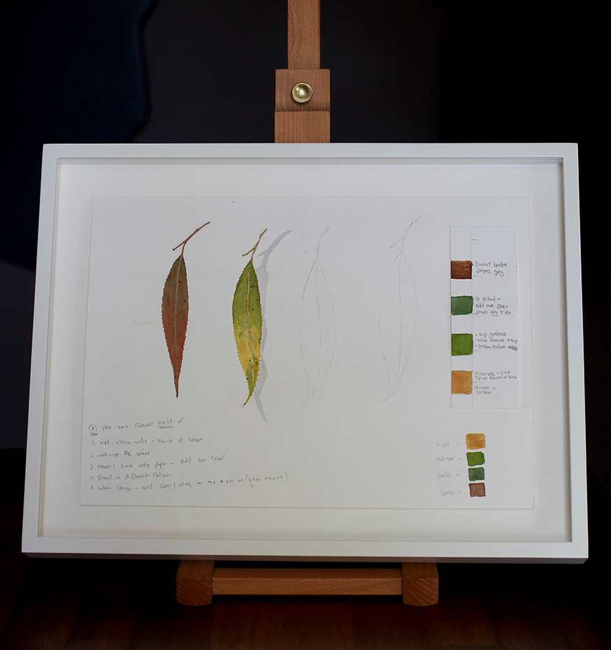 Study of Leaves - Sketches